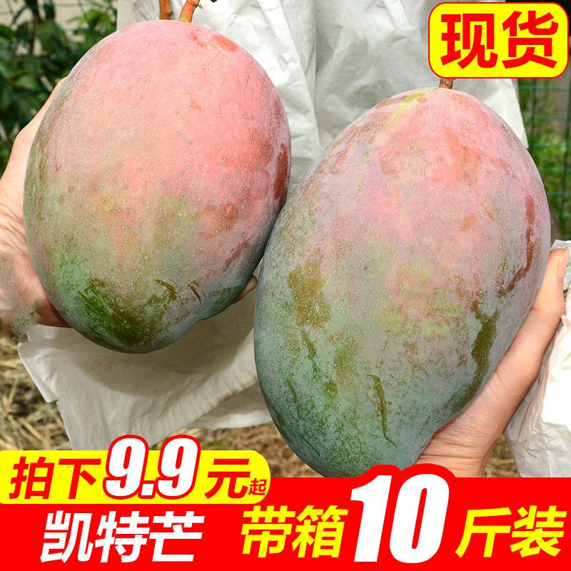 攀枝花芒果10斤装水果新鲜凯特芒果大芒果鲜芒果批发5斤2斤，7.9元
