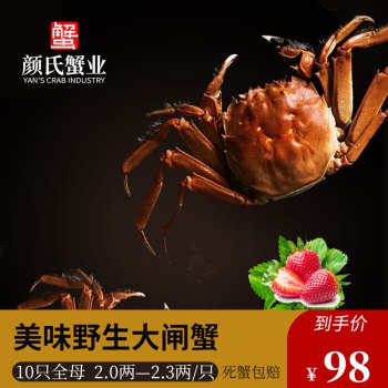 颜氏蟹业 鲜活大闸蟹 全母蟹2.0-2.3 10只，活捕现捞，新鲜肥美，分量足，死蟹包赔 