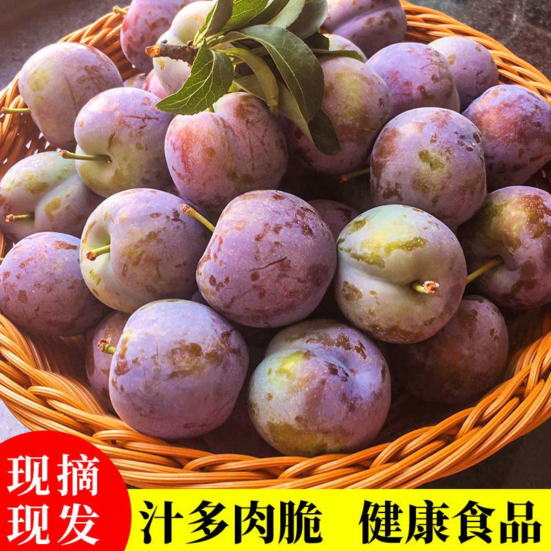 李子水果脆红李四川脱骨李清脆新鲜孕妇水果茵红李现摘3/5斤整箱9.44元