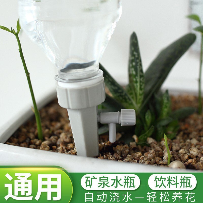 懒人养护自动浇花神器6个装15.9