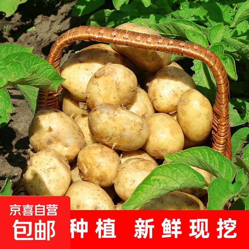 拼团0.9元2斤土豆