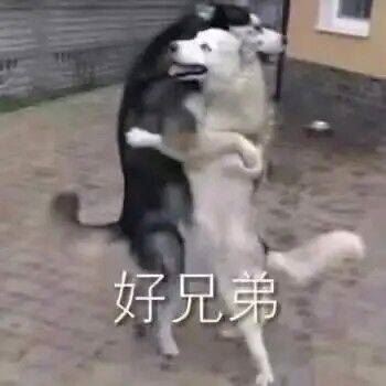 日常0点~开始~开始~