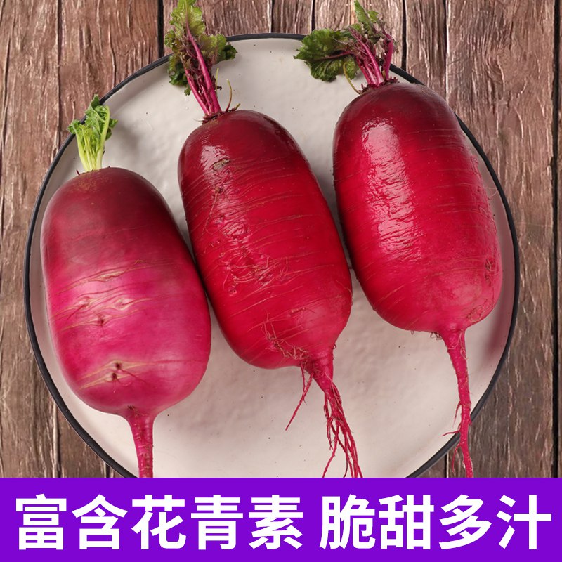 21点 前500件5折紫美人潍坊水果萝卜5斤   