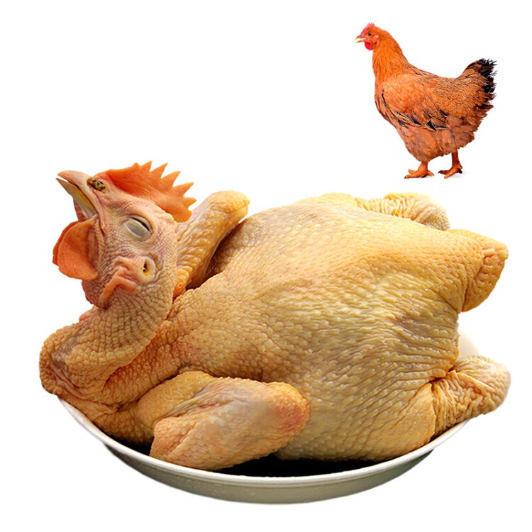 京东自营 温氏 供港黄油鸡 1kg 高品质供港鸡 农家散养土鸡