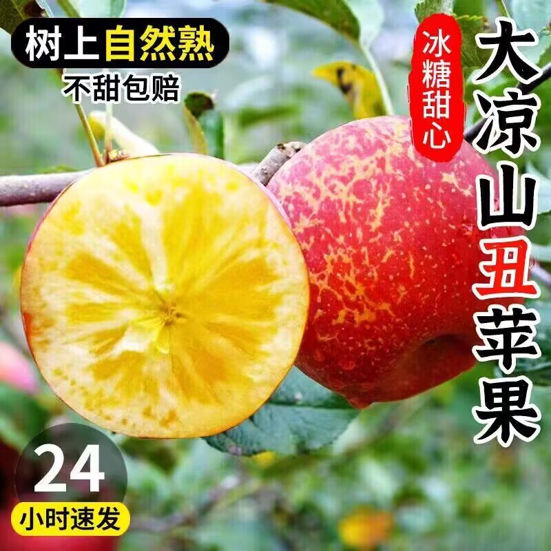 0点 19.8💵【誉福园】大凉山丑苹果60-65mm*5斤)ayGMW2qXJzJ)/ CZ1111/每日红包 1111.fanli.me