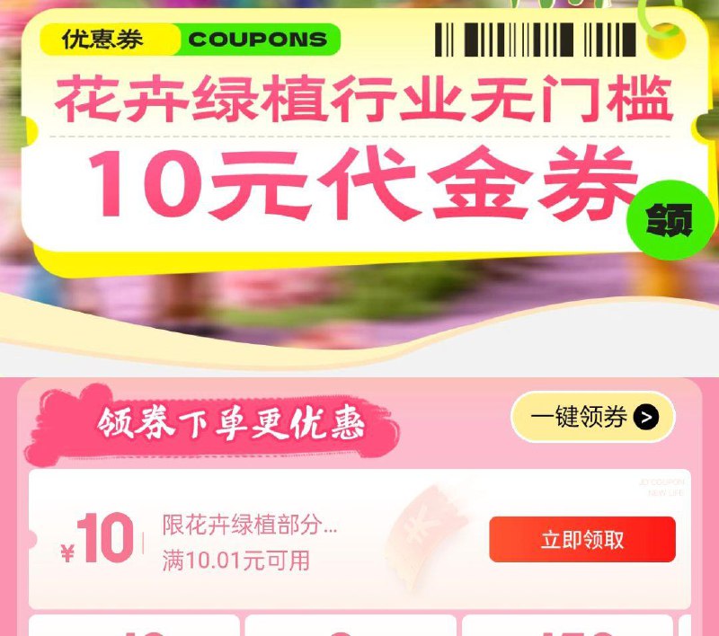 绿植10奍