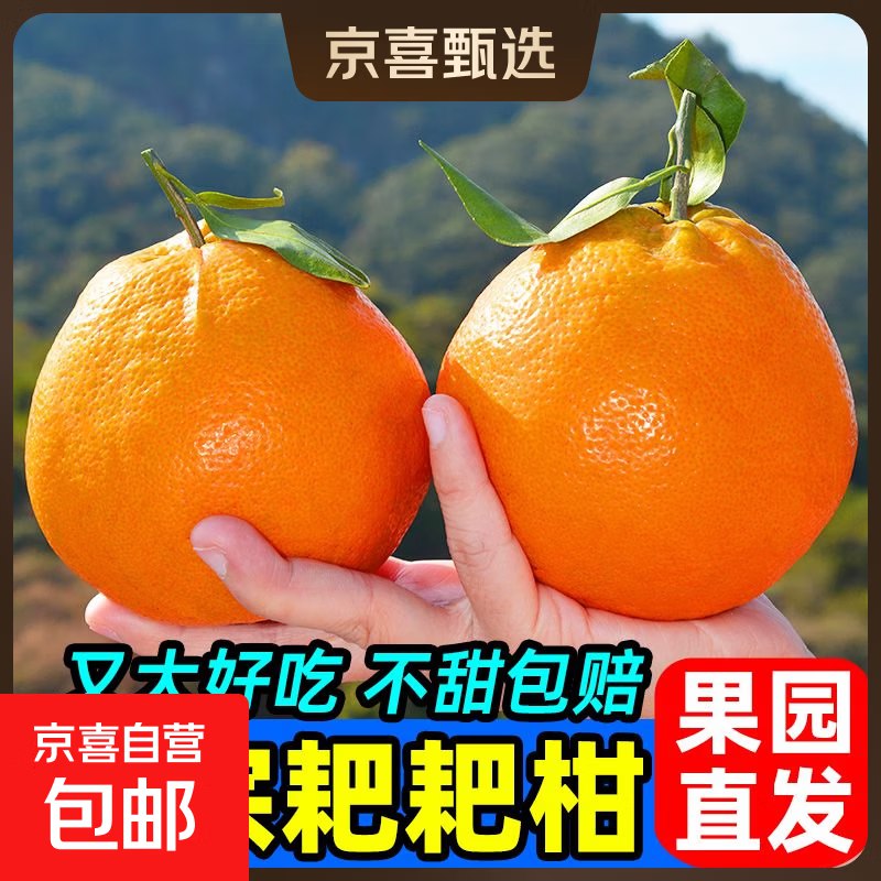 2.01-2卷