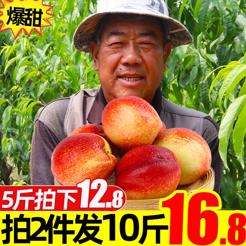 10点拍2件16.8亓现货黄心油桃5斤  (4AgQ1DPzCOG)