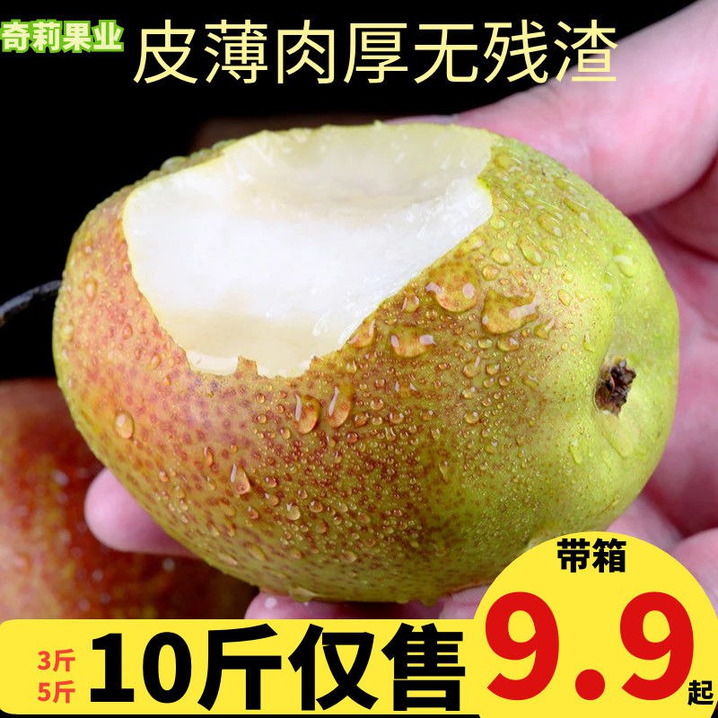 陕西特级红香酥梨梨子水果批发批发当季水果源自库尔勒3斤5斤10斤5.5元