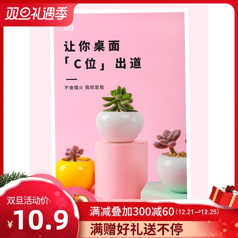 0点开始 拍下6.9元可爱室内多肉盆栽带盆(uVAkcr4X1ic)/