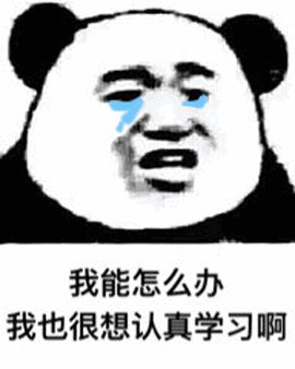 应该差不多都开学了~吃好喝好，然后努力就完事了