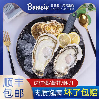 58元 巴美亚旗舰店刺身级别生蚝礼盒12粒)gX2g2Be5c0r)/ CZ1111全程顺丰冷链 个个圆满硕大赠手套 生蚝刀 芥末酱油柠檬 收纳袋
