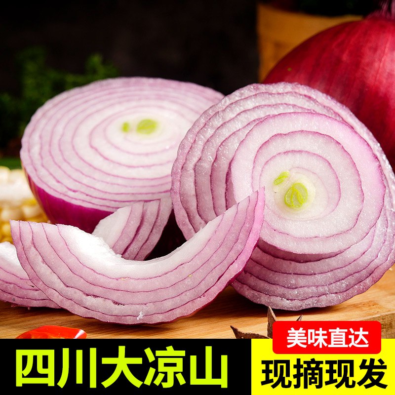 福枝旺紫皮洋葱带箱10斤  