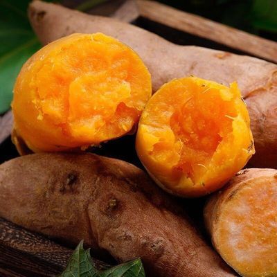 【现挖新鲜蜜薯】现挖红薯新鲜烤薯黄心沙地蜜薯农家地瓜烤制红薯，1.8元