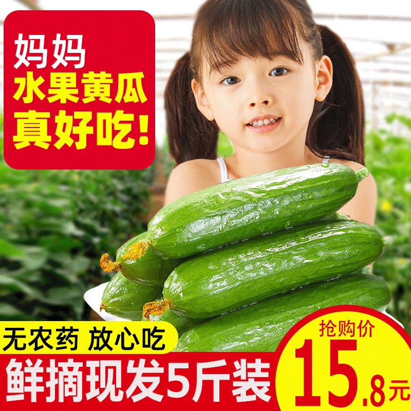 11点 前1000件5折=7.9亓水果黄瓜5斤   (yl271DlB0n7)