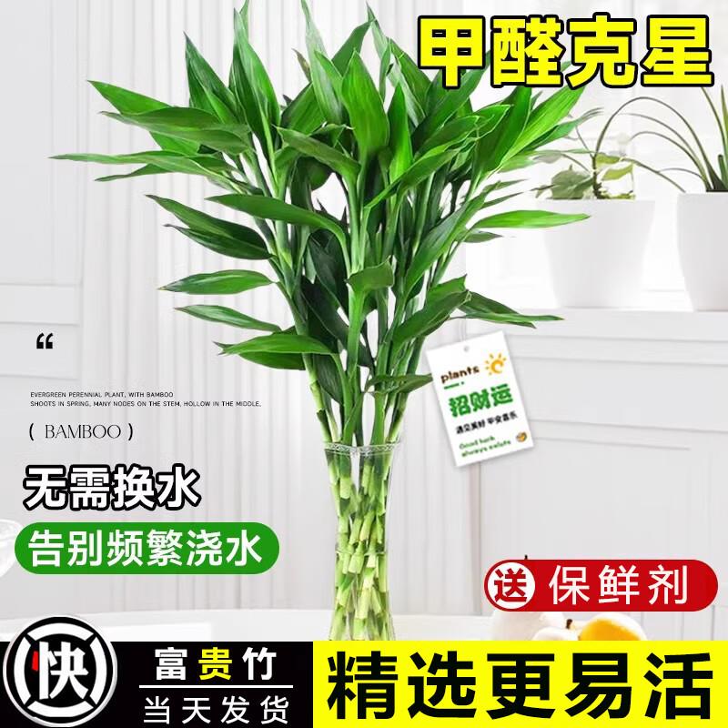 拆3次概率园艺9奍