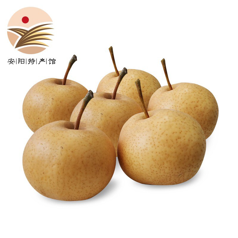 晚秋红梨 新鲜水果 农家现摘10斤13.9